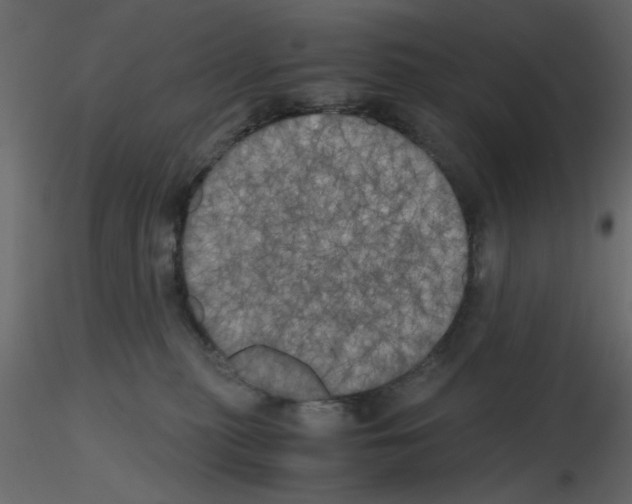 X0000115660279200912241405
