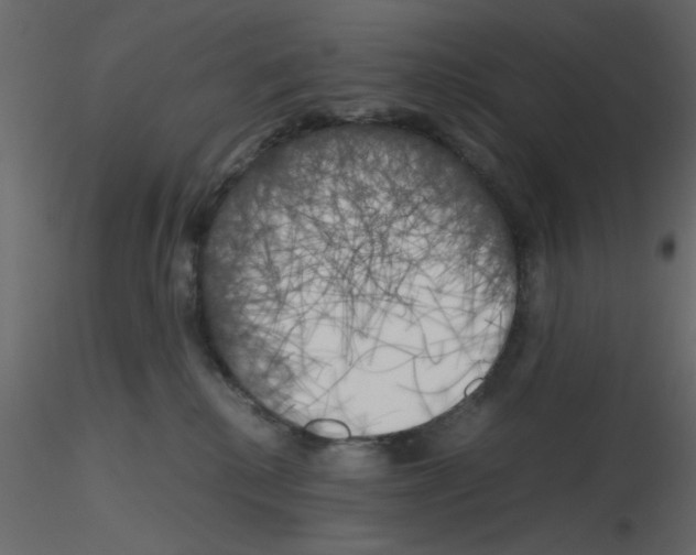 X0000115660280200912241405