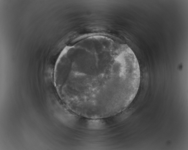 X0000115660281200912241405