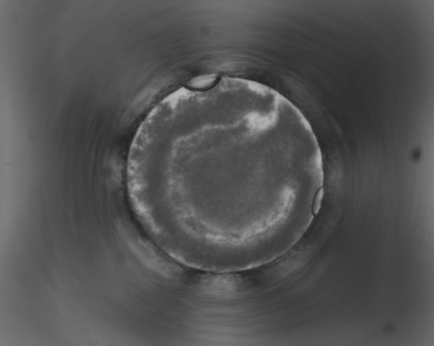 X0000115660282200912241405