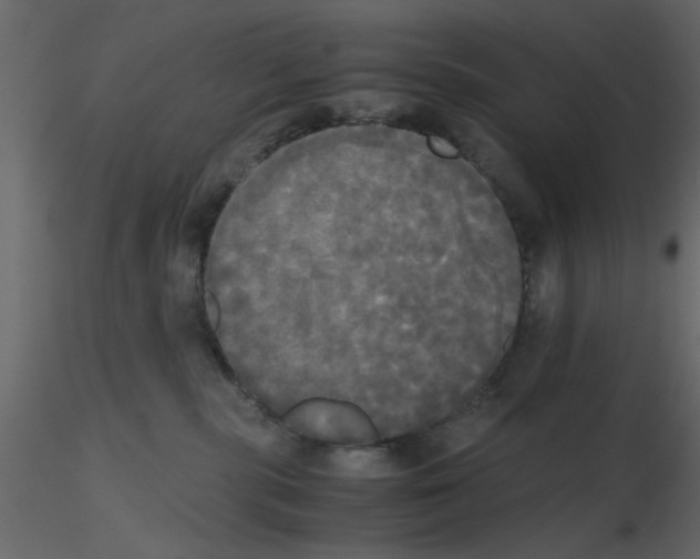 X0000115660283200912241405