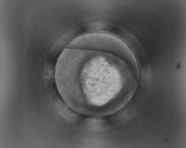 X0000115660284200912241405