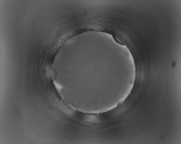 X0000115660285200912241405
