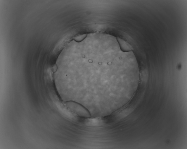 X0000115660286200912241405