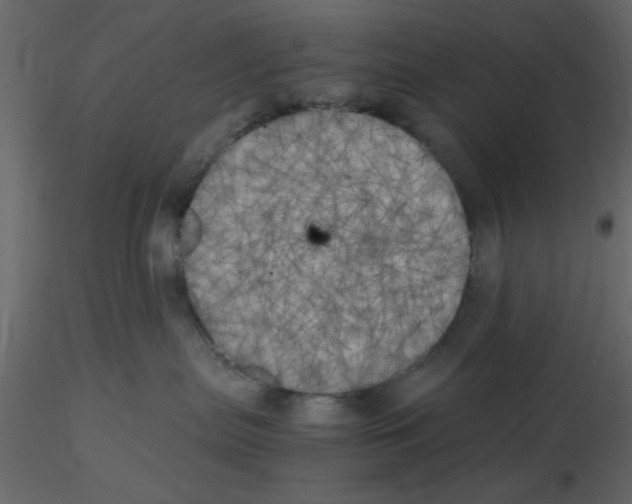 X0000115660287200912241405