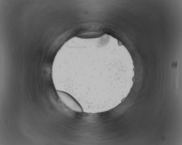 X0000115660288200912241405