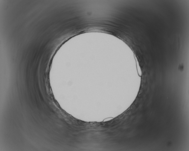 X0000115660289200912241404