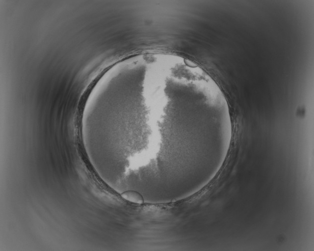 X0000115660290200912241404