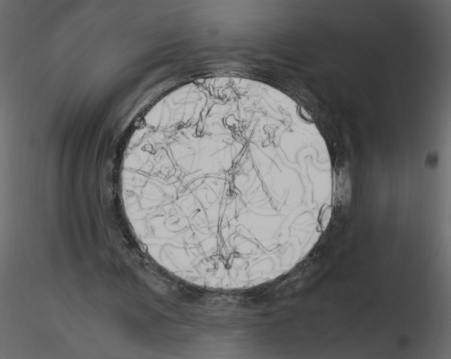 X0000115660291200912241404