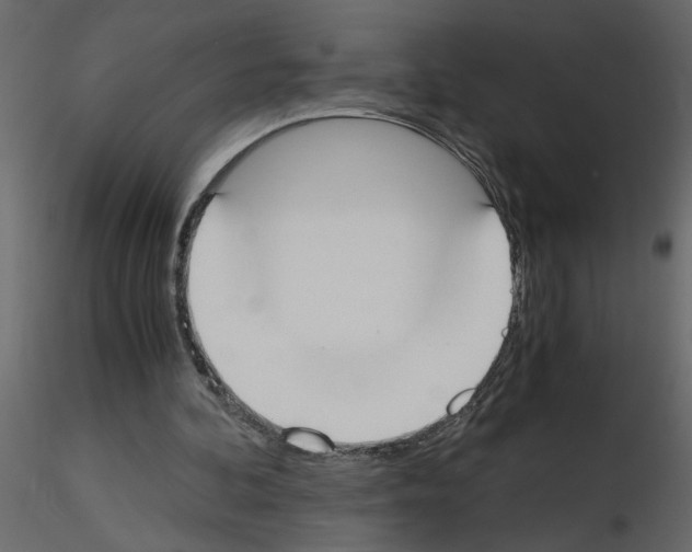 X0000115660292200912241404