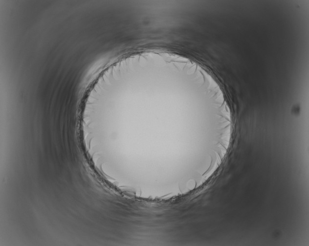 X0000115660293200912241404