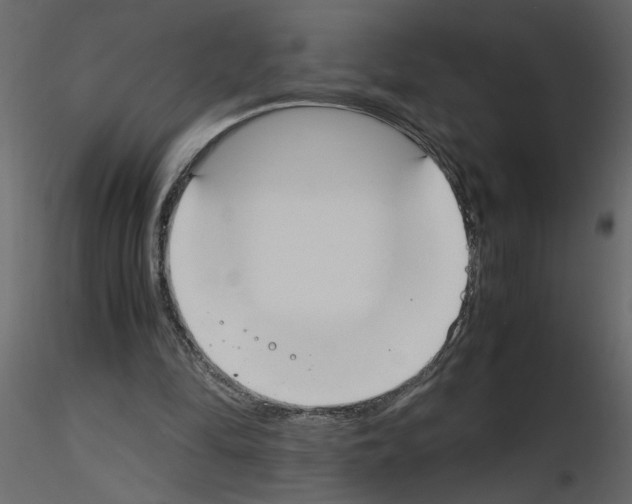 X0000115660294200912241404