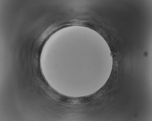 X0000115660295200912241404