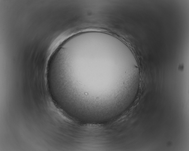 X0000115660296200912241404