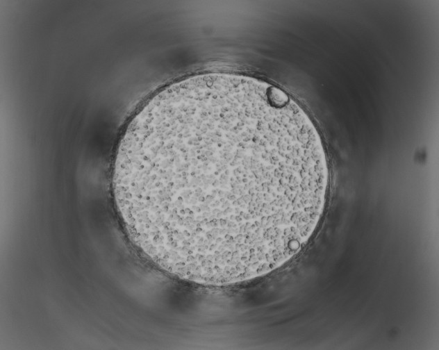 X0000115660297200912241404