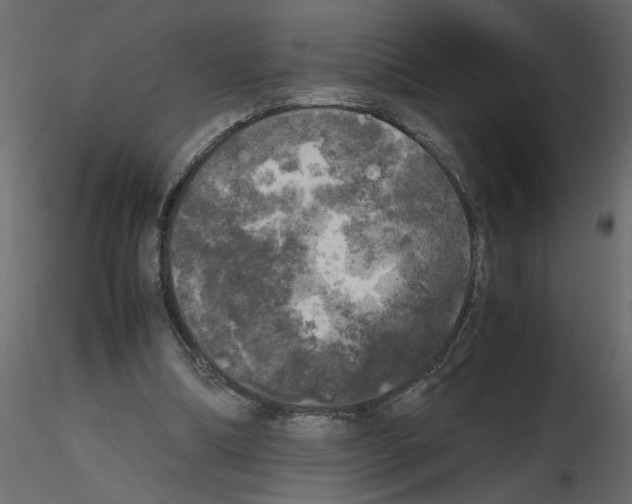 X0000115660298200912241404