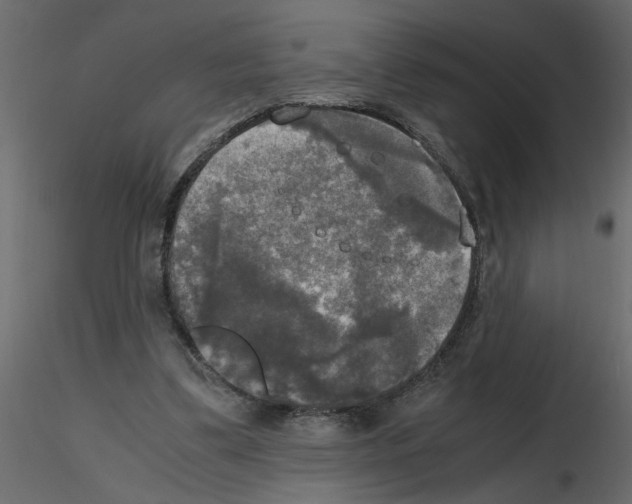 X0000115660299200912241404