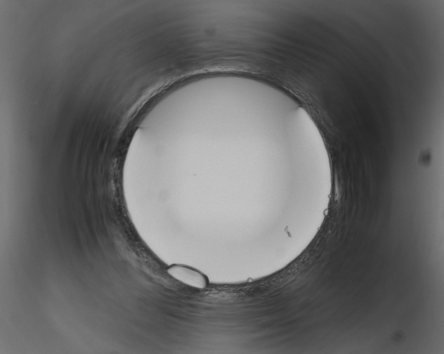 X0000115660300200912241404