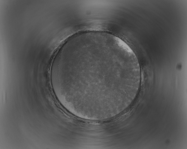 X0000115660301200912241404