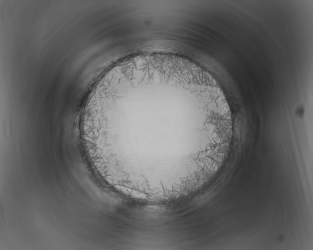 X0000115660302200912241404