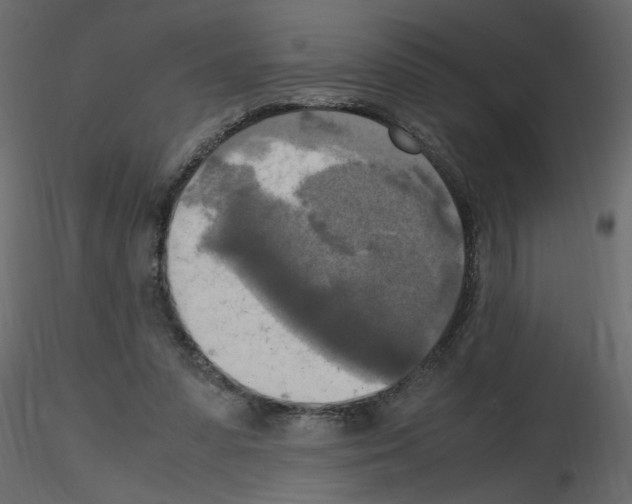 X0000115660303200912241404