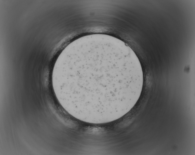 X0000115660304200912241404
