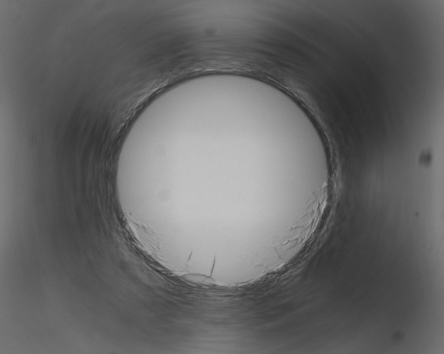 X0000115660305200912241404