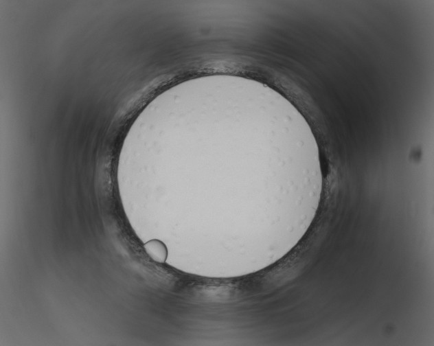 X0000115660306200912241404