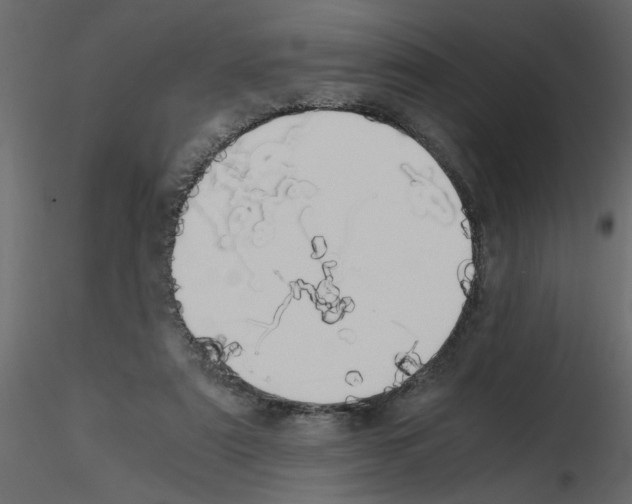 X0000115660307200912241404