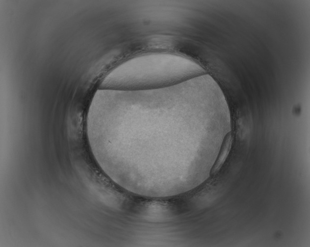 X0000115660308200912241404
