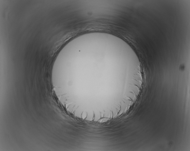X0000115660309200912241404