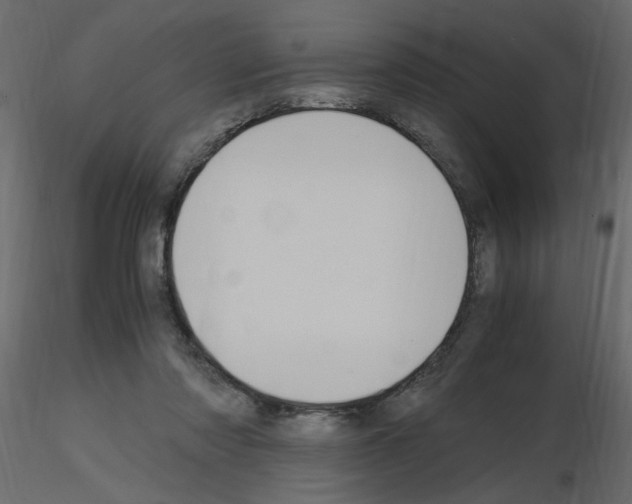 X0000115660310200912241404