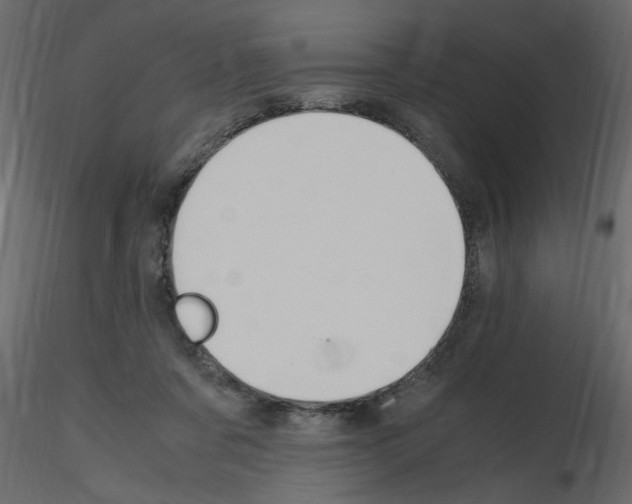 X0000115660311200912241404