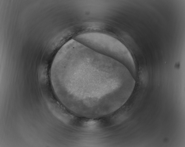 X0000115660312200912241404