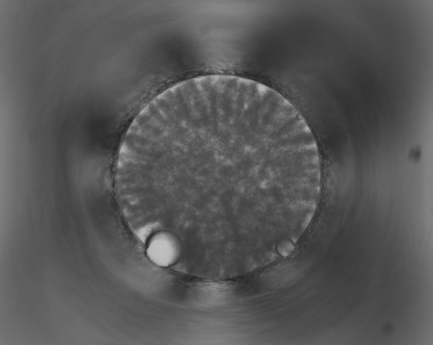 X0000115660313200912241404
