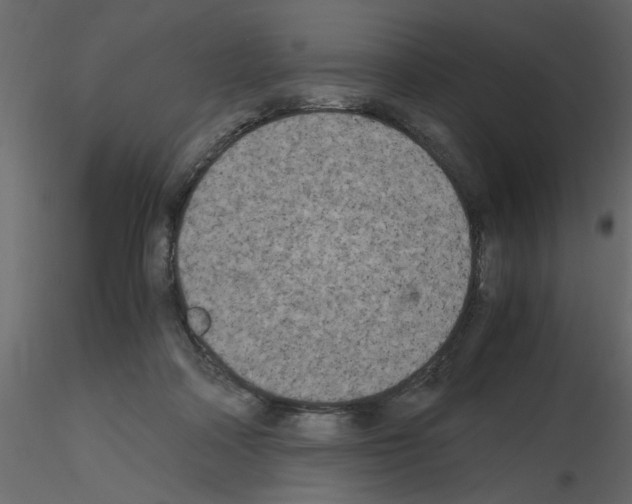 X0000115660314200912241404