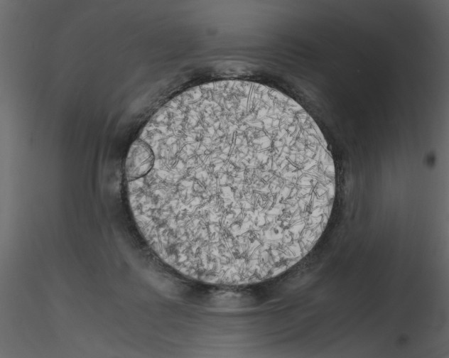 X0000115660315200912241404