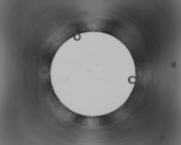 X0000115660317200912241404