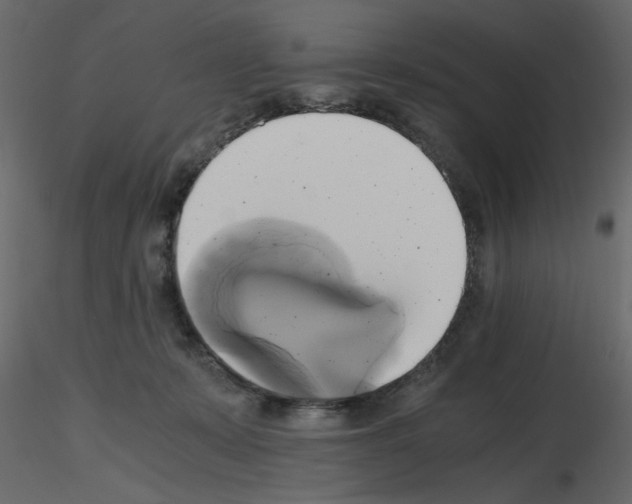 X0000115660319200912241404