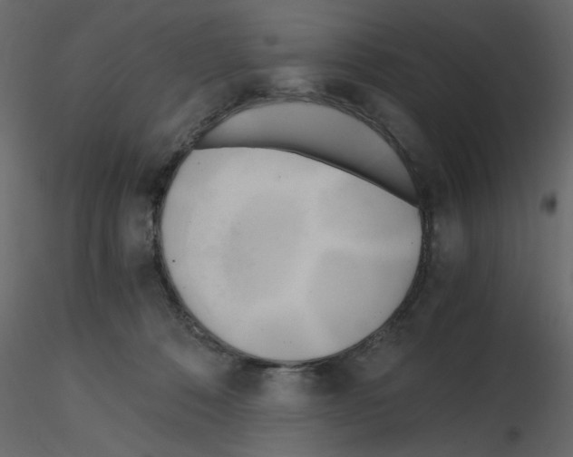 X0000115660320200912241404