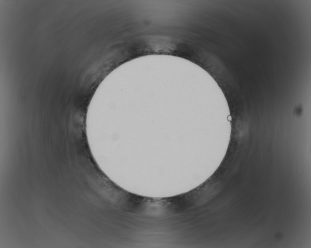 X0000115660321200912241404