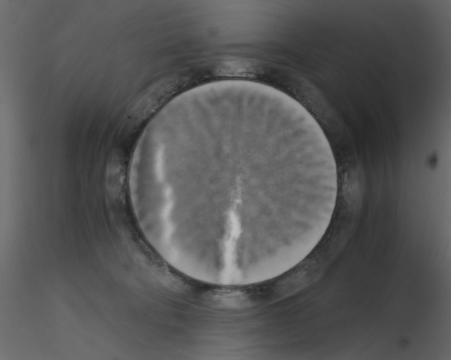 X0000115660322200912241404