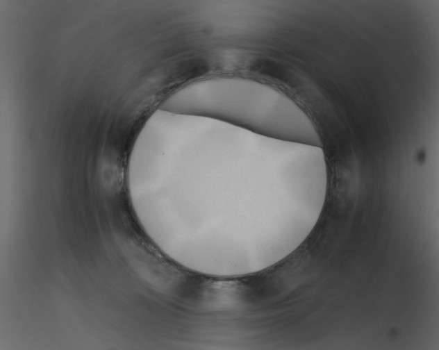 X0000115660324200912241404