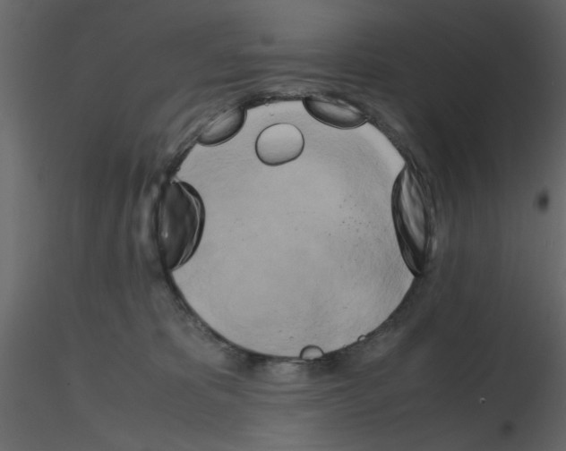 X0000115660325200912241404