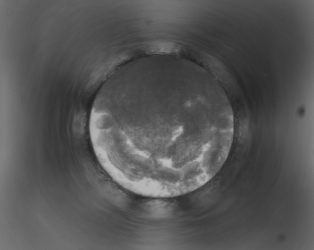 X0000115660326200912241404