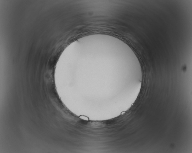 X0000115660327200912241404