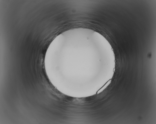 X0000115660328200912241404