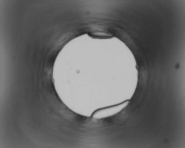 X0000115660329200912241404