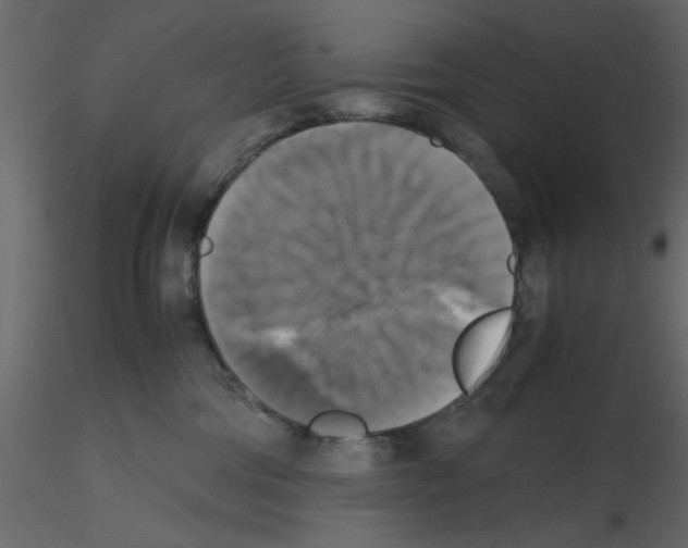 X0000115660330200912241404