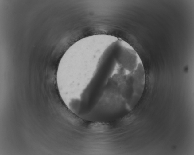 X0000115660331200912241404